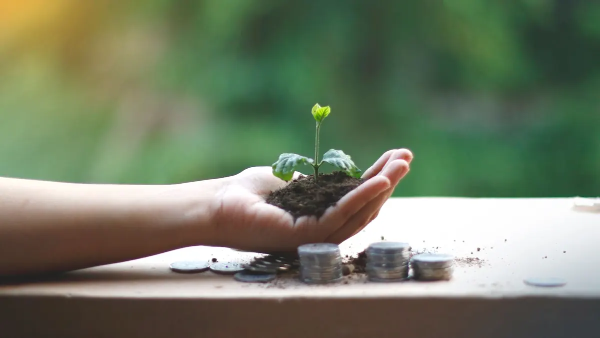 Hand houdt een jong plantje met aarde vast boven stapeltjes munten bij dividend beleggen