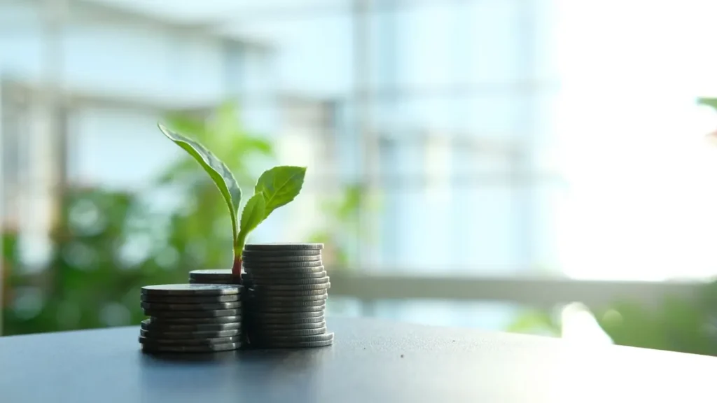 Jonge plant groeit uit gestapelde munten als beeld voor wat dividend is